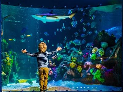 Vorschau des Gutschein-Designs 